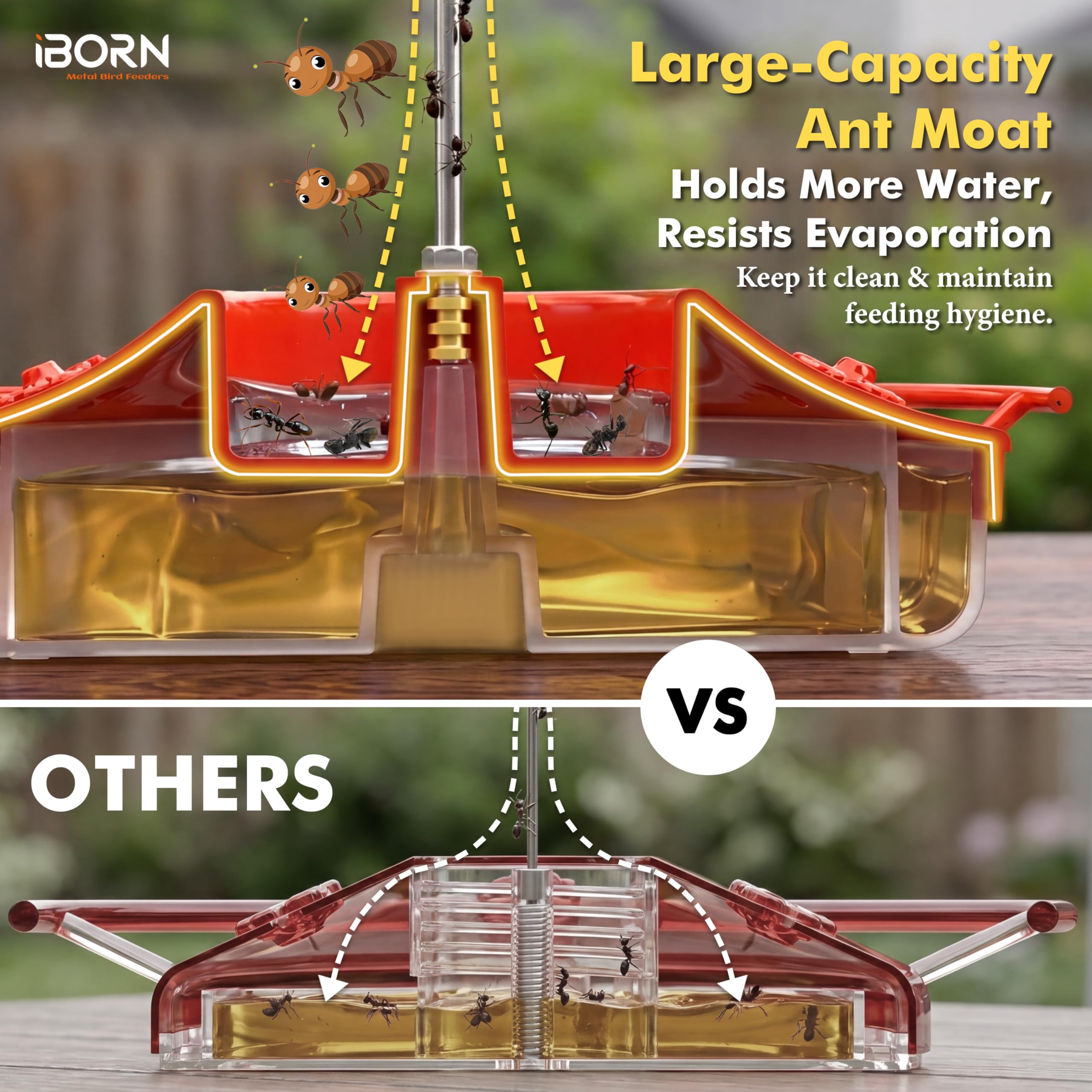 iBorn feeder showcasing tool-free fill for easy refills