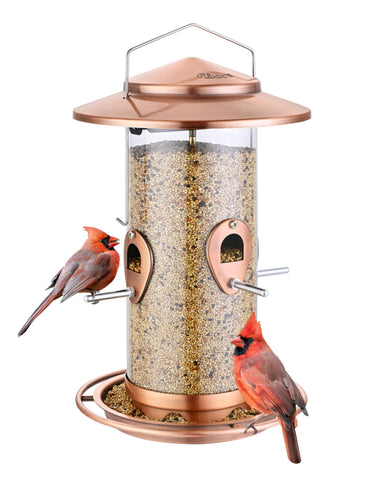 iBorn metal bird feeder mounted outdoors with 10 ports for frequent feathered visitors.