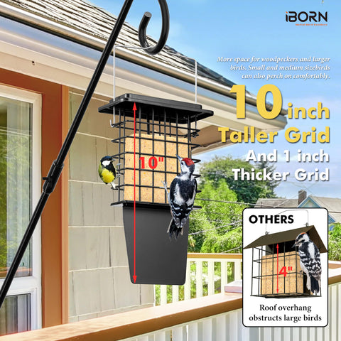 iBorn Metal Suet Feeder mounted outdoors with birds visiting
