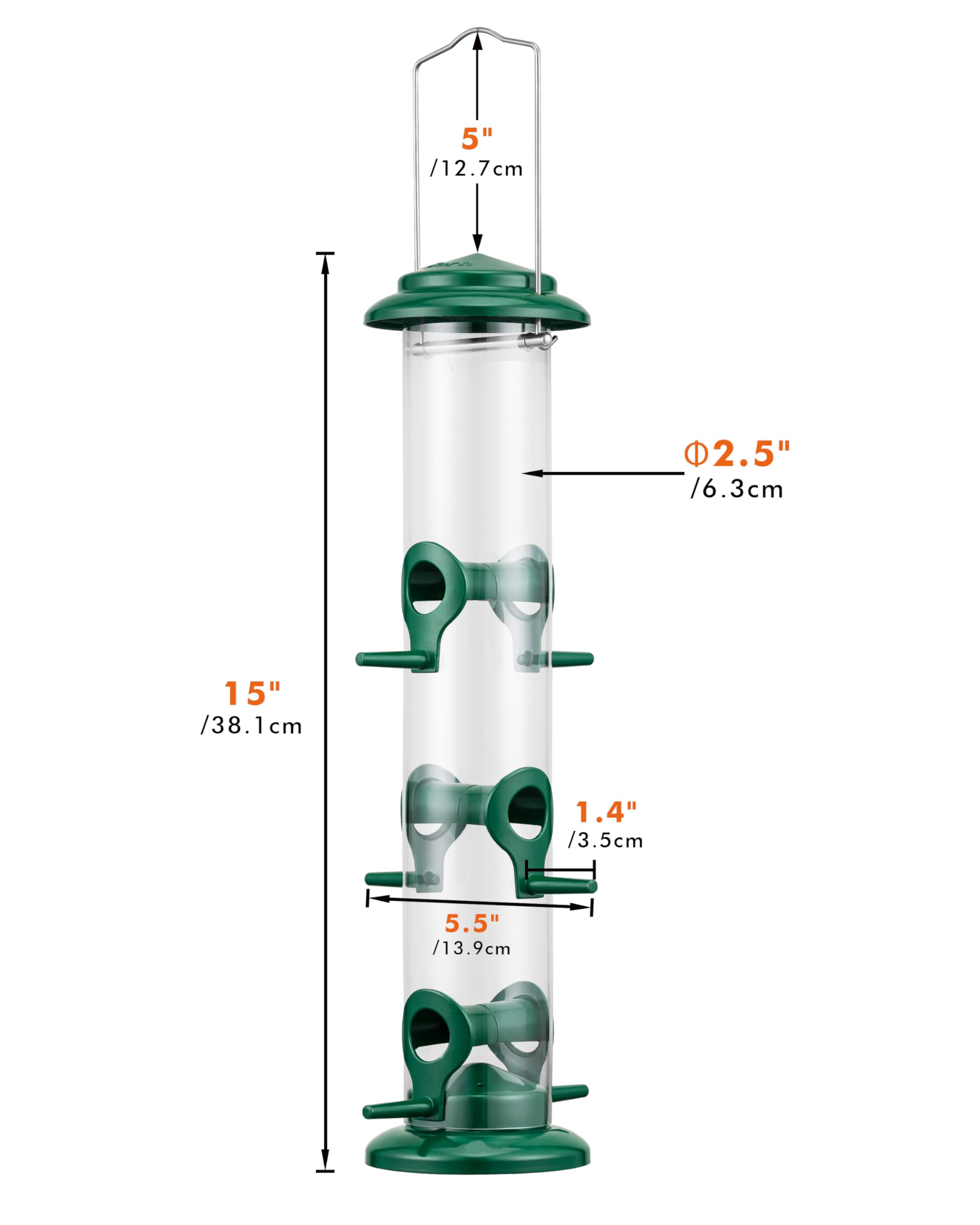 iBorn mix seed feeder attracts diverse bird species