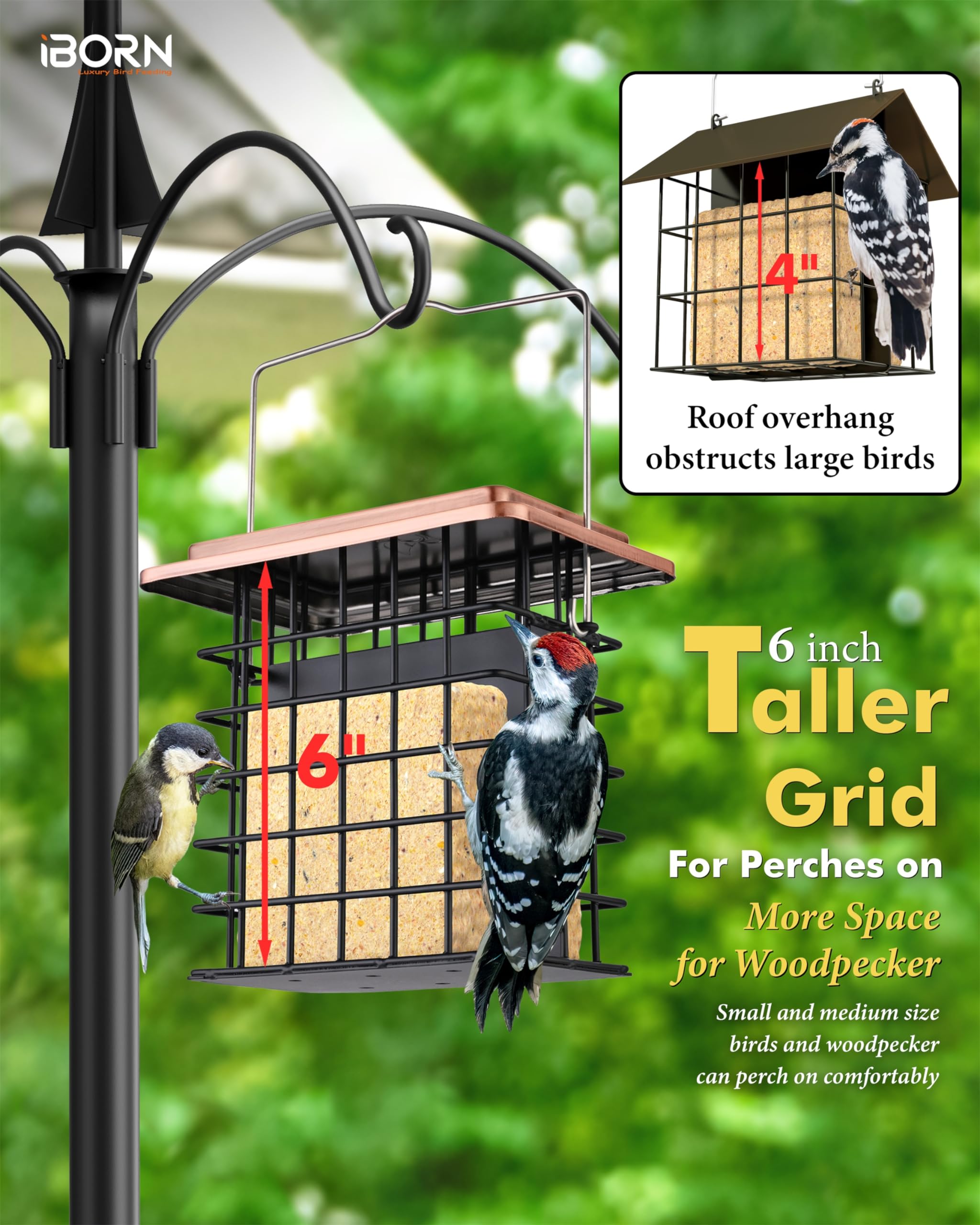 iBorn outdoor bird feeder with clean design suits any yard.