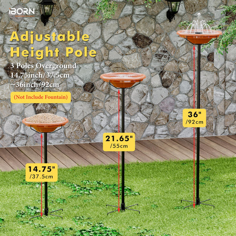 iBorn outdoor bird feeder tray shown ready for seeds in a garden.