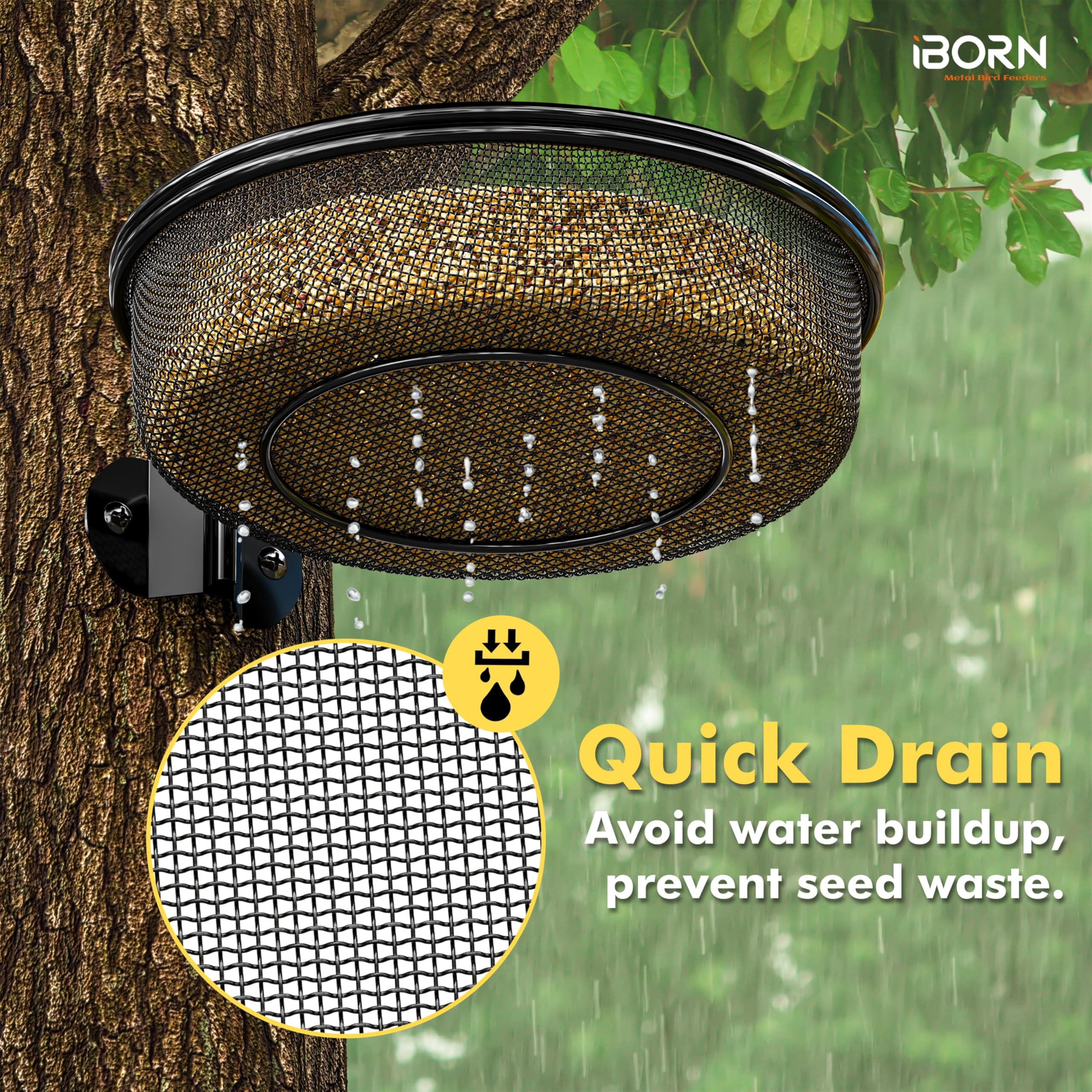 iborn removable tray for simple rinsing and daily upkeep