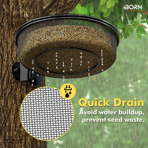 iborn removable tray for simple rinsing and daily upkeep