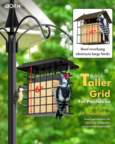iBorn seed not included lets you choose your preferred suet or mix.