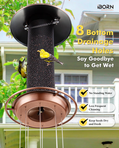 iBorn small-bird access encourages finches to linger and feed
