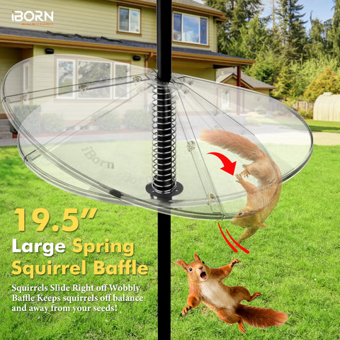 iBorn after-sales service with 3-year guarantee and support