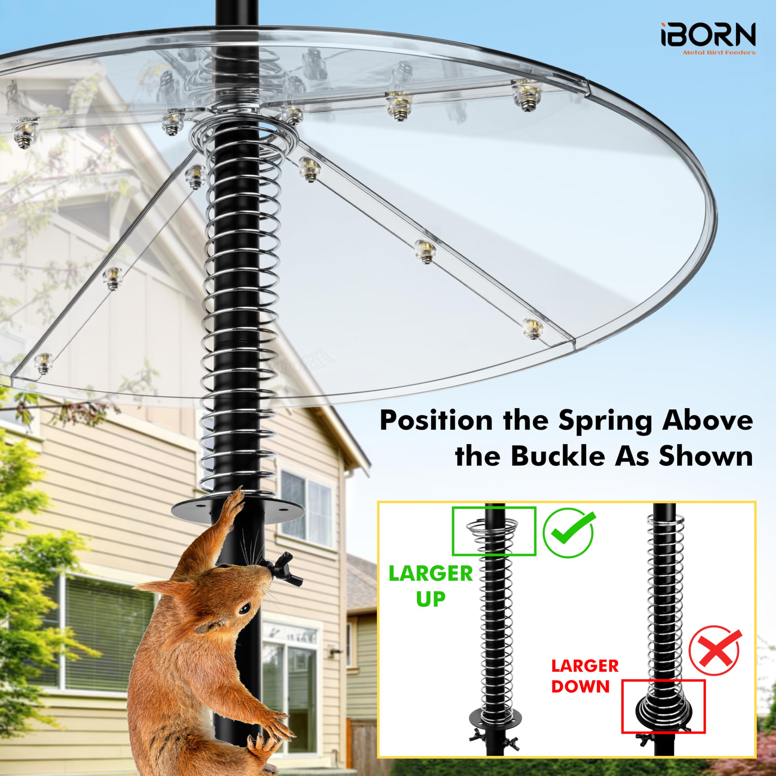 iBorn polycarbonate shell withstands sun and weather