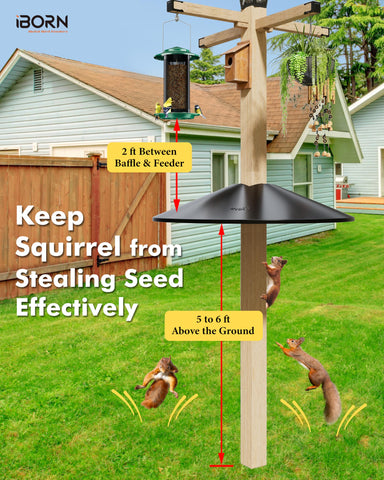iBorn Squirrel Baffle outdoor-ready design stands up to sun and rain.