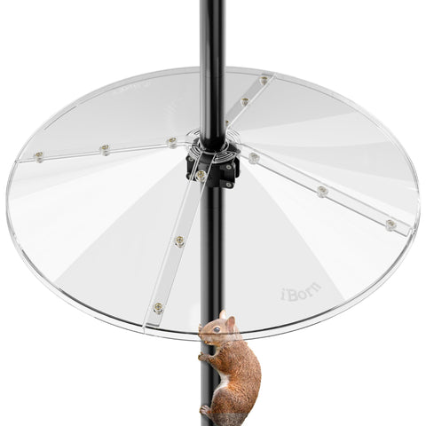 iBorn Squirrel Baffle oversized 19.5 inch protects bird feeder from climbing squirrels