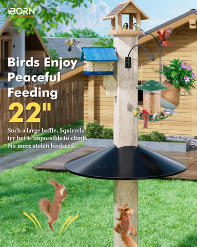 iBorn Squirrel Baffle polycarbonate construction delivers rust-free outdoor durability.
