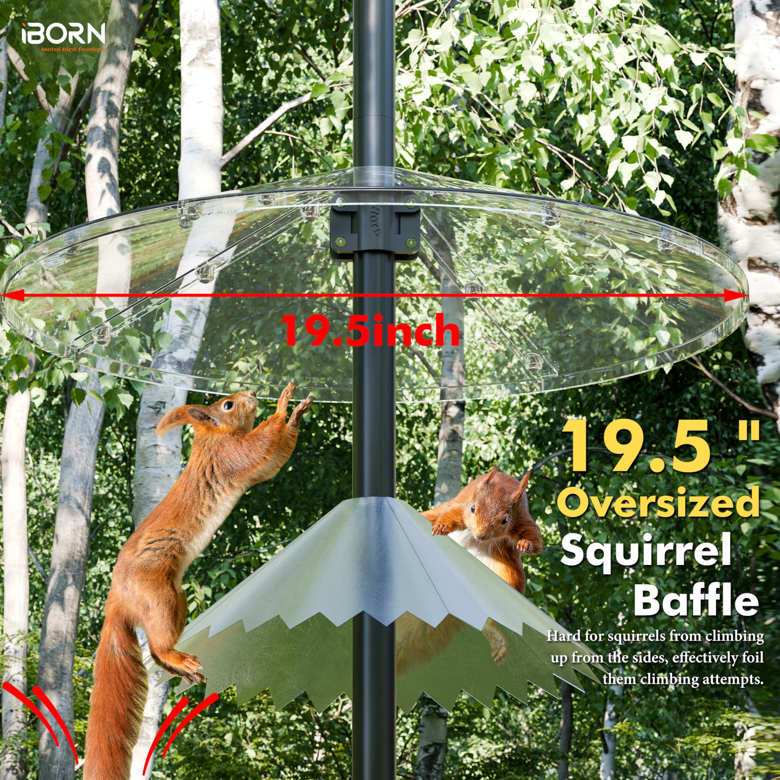 iBorn collar-style design blocks squirrels from reaching seed at the feeder