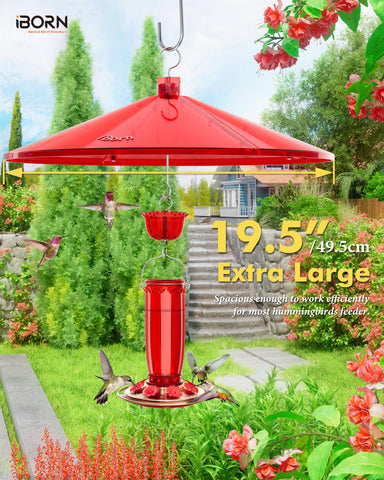 iBorn squirrel-proof barrier keeps hummingbirds feeding undisturbed