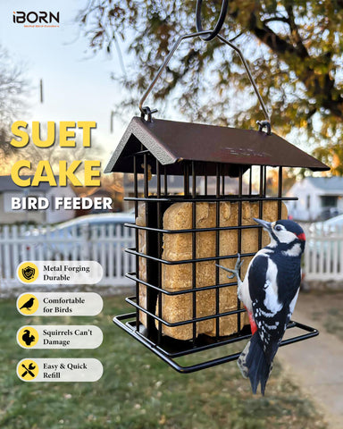 iBorn all-metal cage offers durable, long-lasting bird feeding.