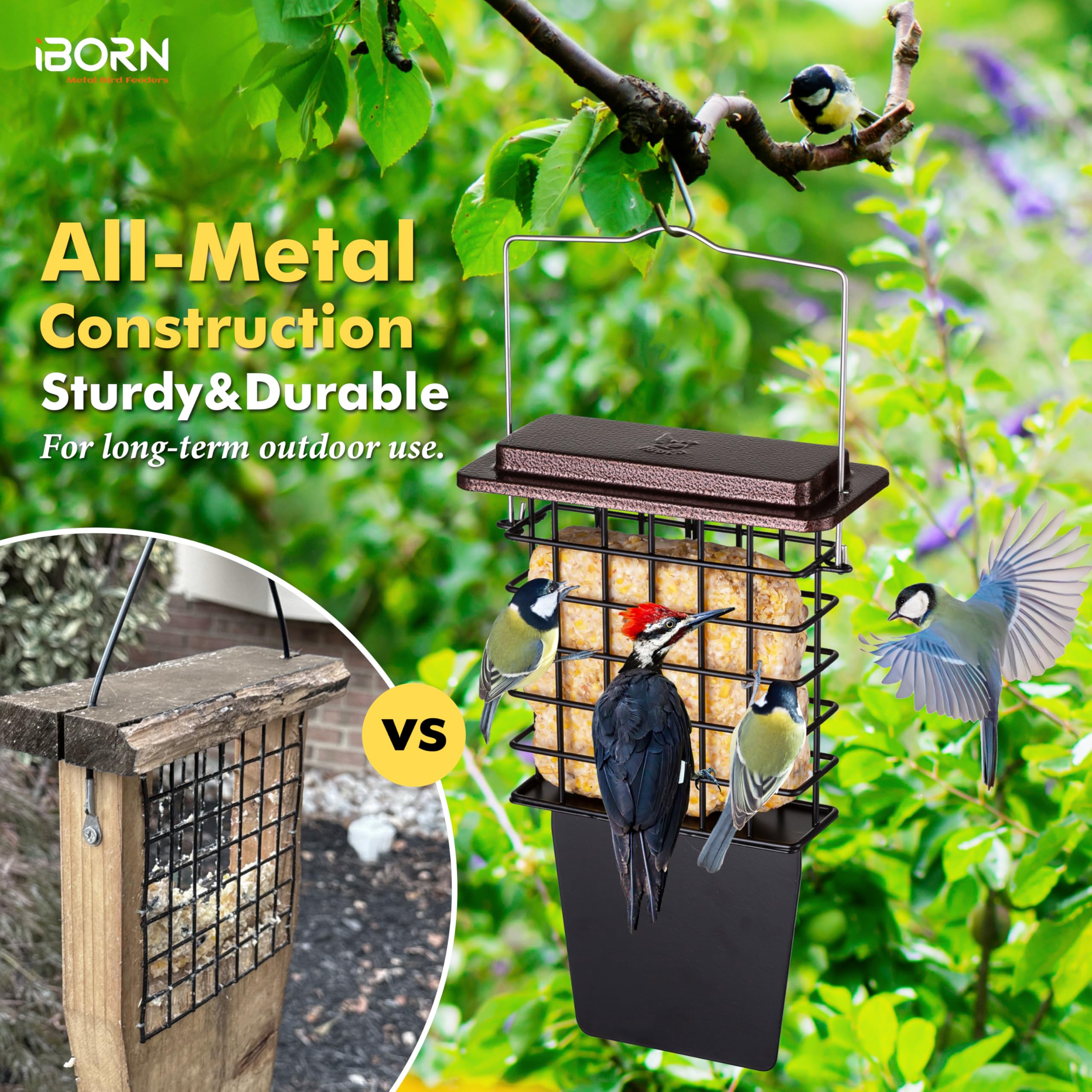 iBorn Suet Feeder fixed hanger prevents sway in windy weather