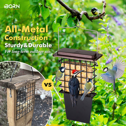 iBorn Suet Feeder fixed hanger prevents sway in windy weather