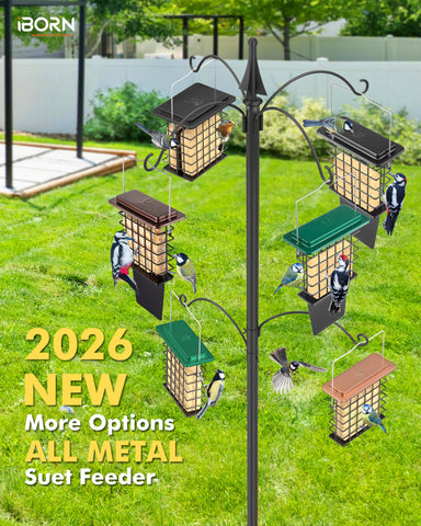iBorn Suet Feeder metal construction shows durability in all weather