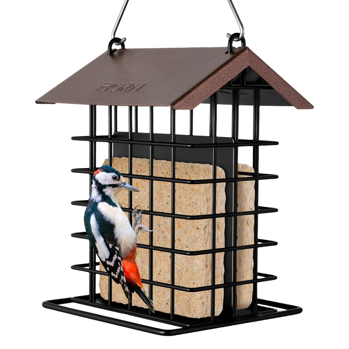 iBorn suet feeder outdoors hanging for year-round bird feeding.