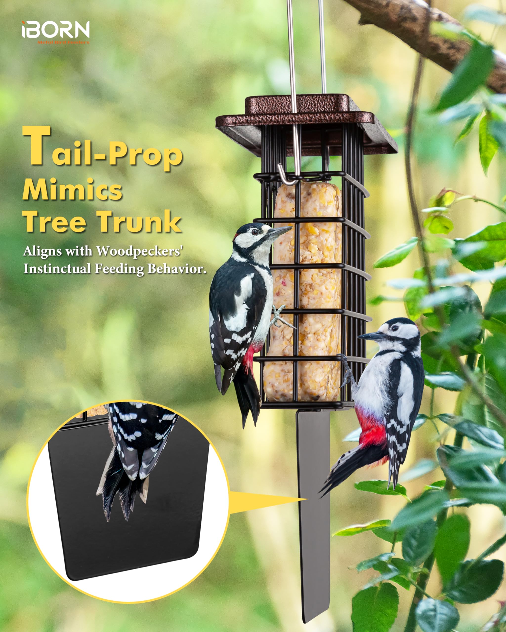 iBorn Suet Feeder taller grid offers space for woodpeckers to perch