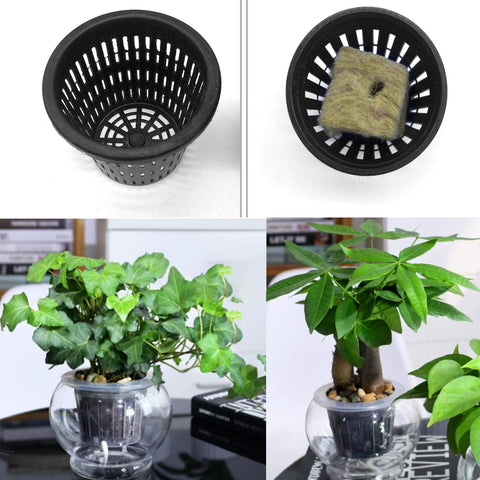 Iceyyyy self-watering cotton wick cords promote steady moisture