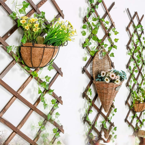 Iceyyyy air plant vertical rack holds greens with a breathable frame.