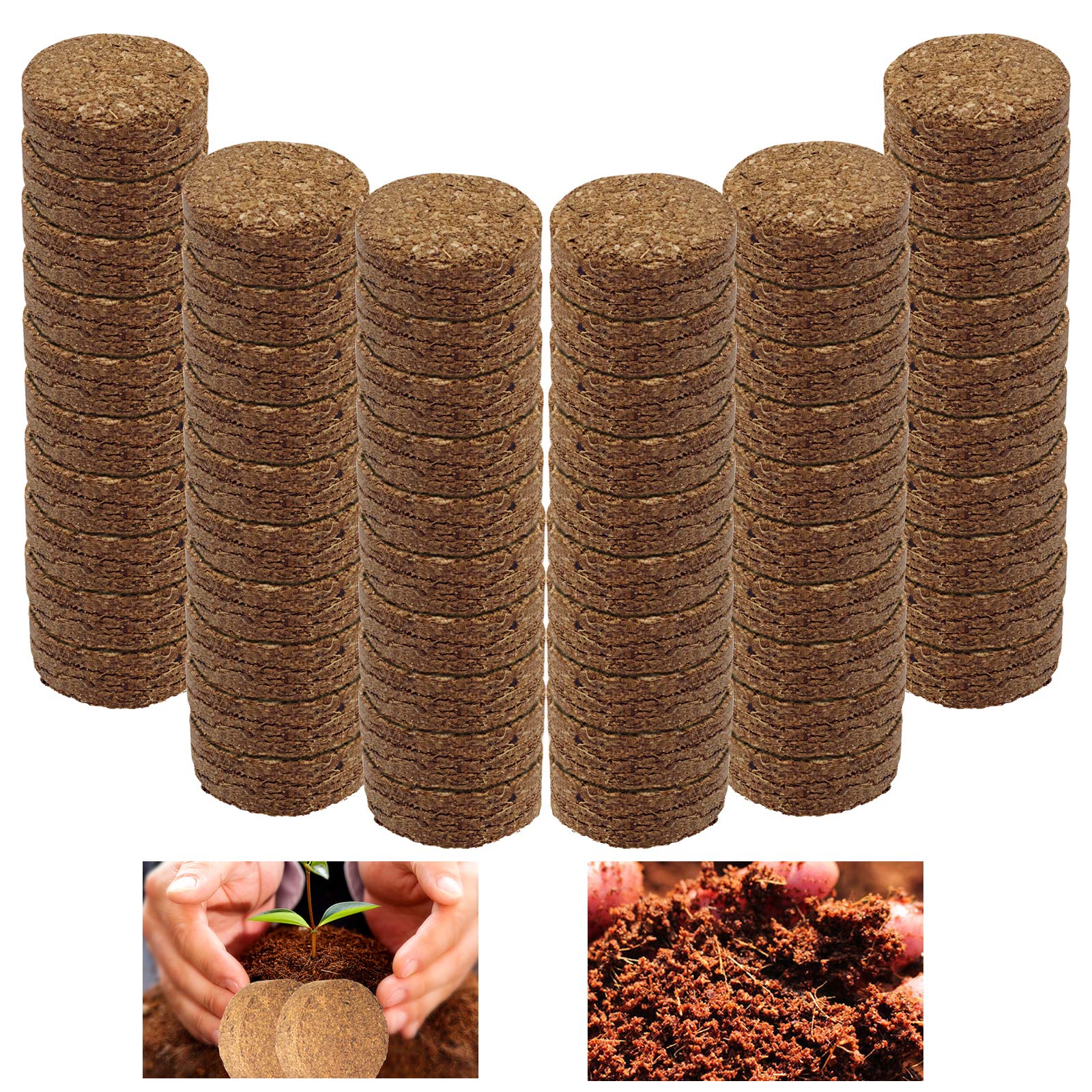 Iceyyyy compressed coco coir pellet ready to soak for seed germination.