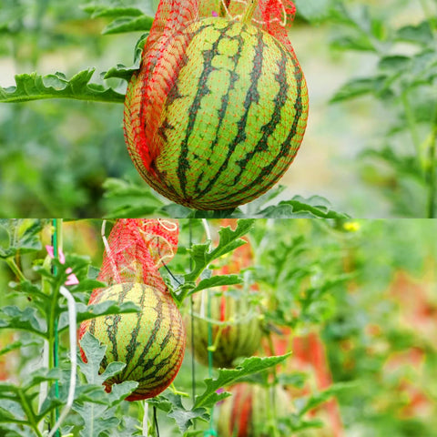 Iceyyyy Garden-produce mesh bags simplify fresh produce organization.