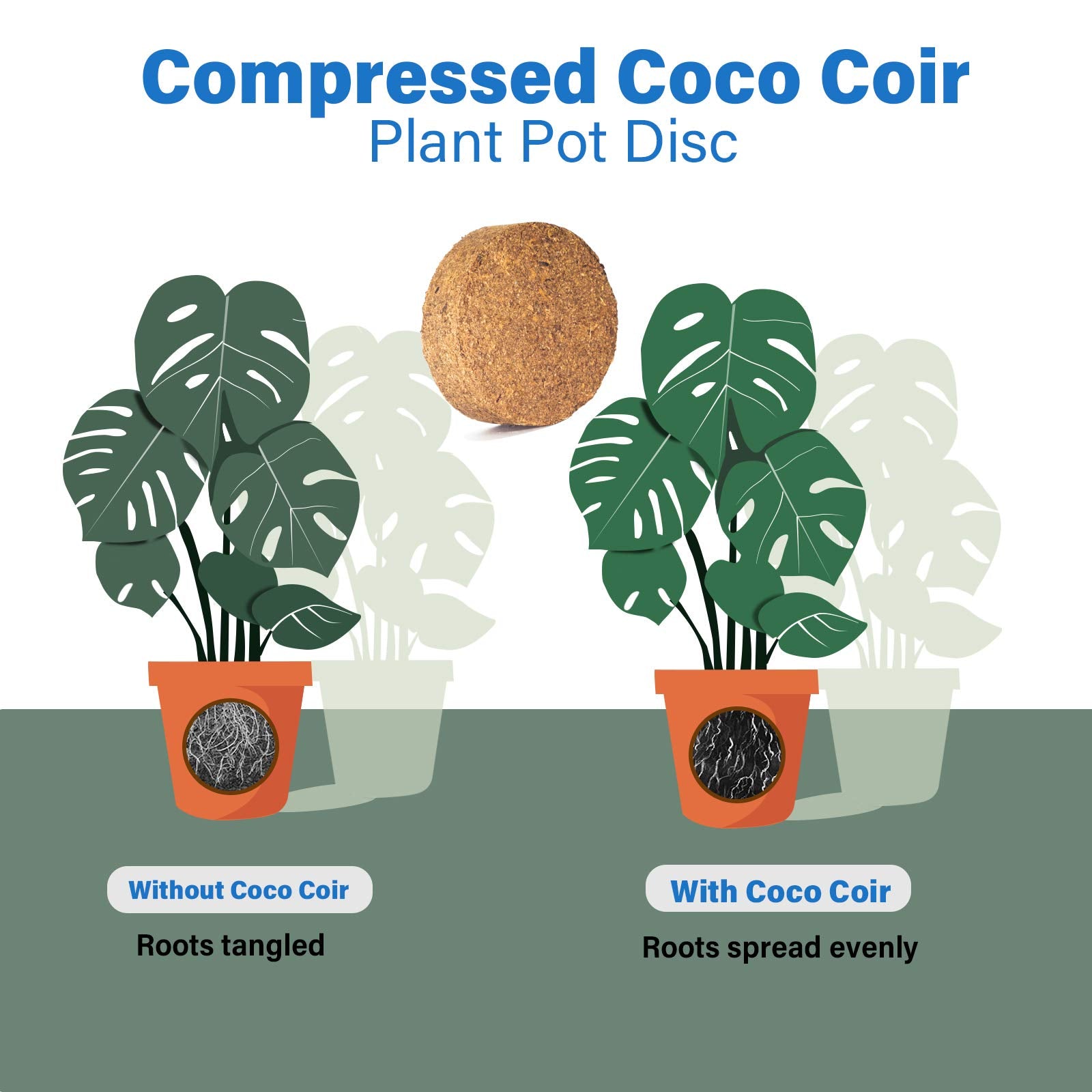 Iceyyyy coco coir disk for indoor plants and herbs.