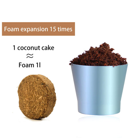 Iceyyyy coco coir disk for outdoor garden propagation.