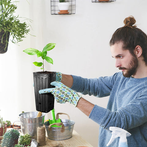 Iceyyyy pots suitable for indoor and outdoor use with plants