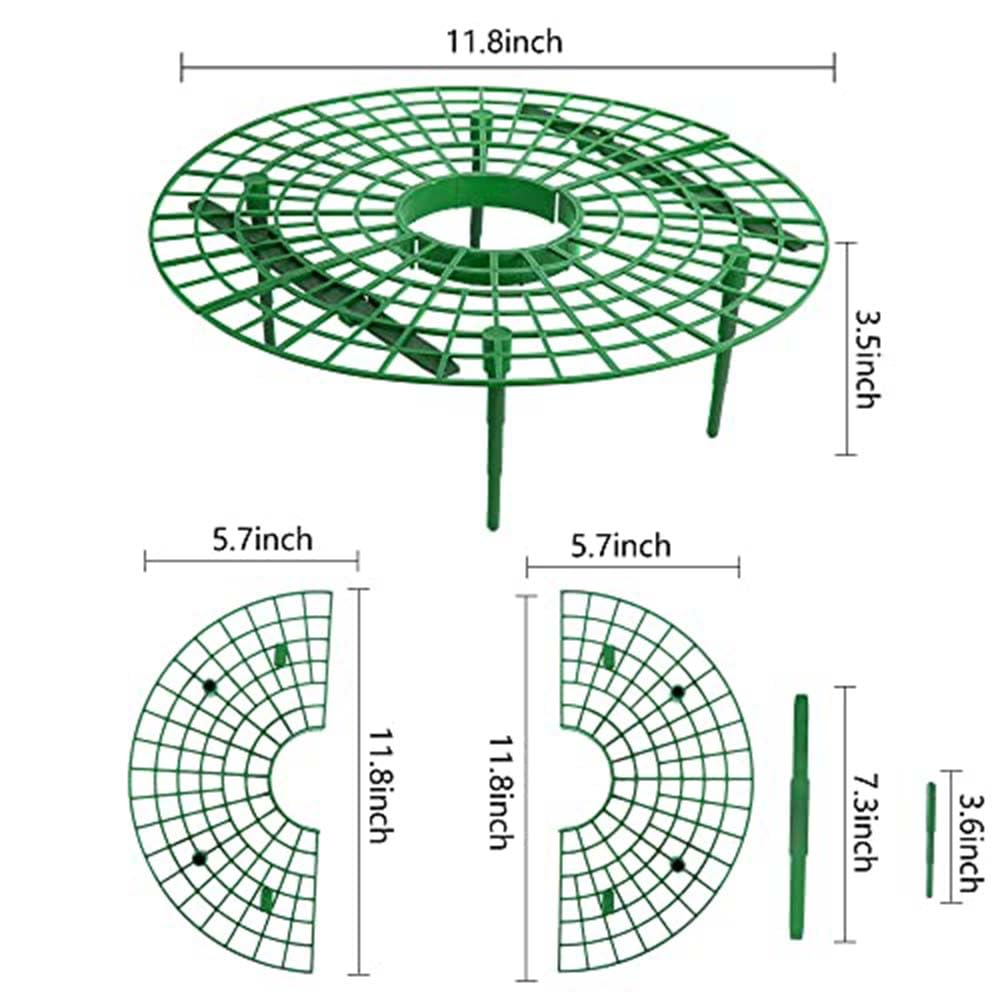 Iceyyyy strawberry plant support stakes providing a stable frame during growth