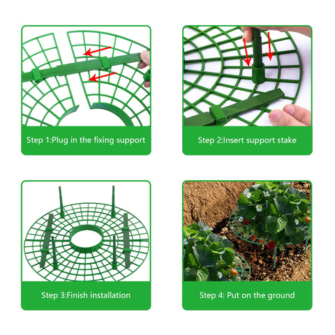 Iceyyyy strawberry plant support stakes anchoring the frame securely.
