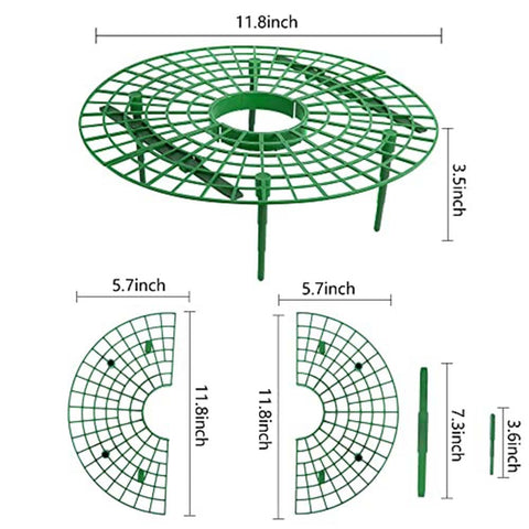 Iceyyyy strawberry plant support stakes providing a stable frame during growth