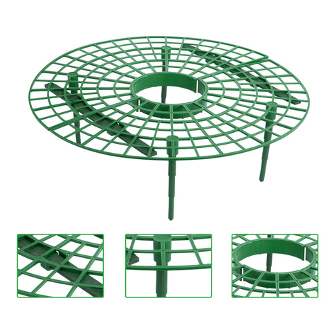 Iceyyyy strawberry stand assembly around plants demonstrates quick, tool-free setup.