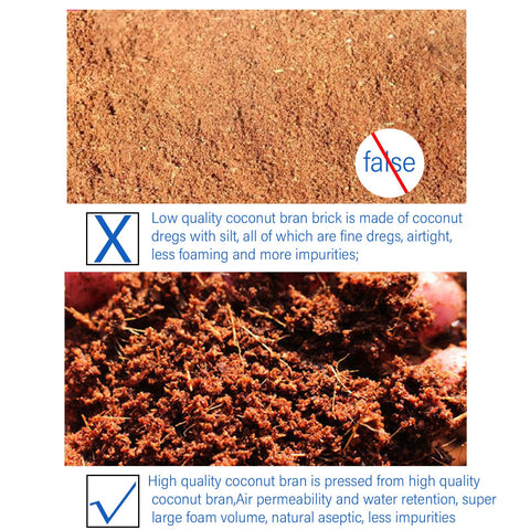 Iceyyyy sustainable coco coir disk supports germination.
