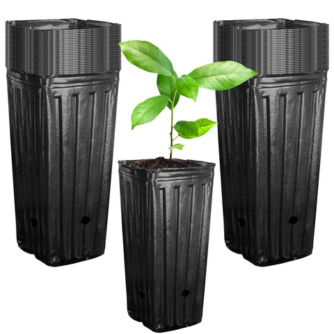 Iceyyyy tall tree pot with side holes for improved drainage in outdoor plantings.