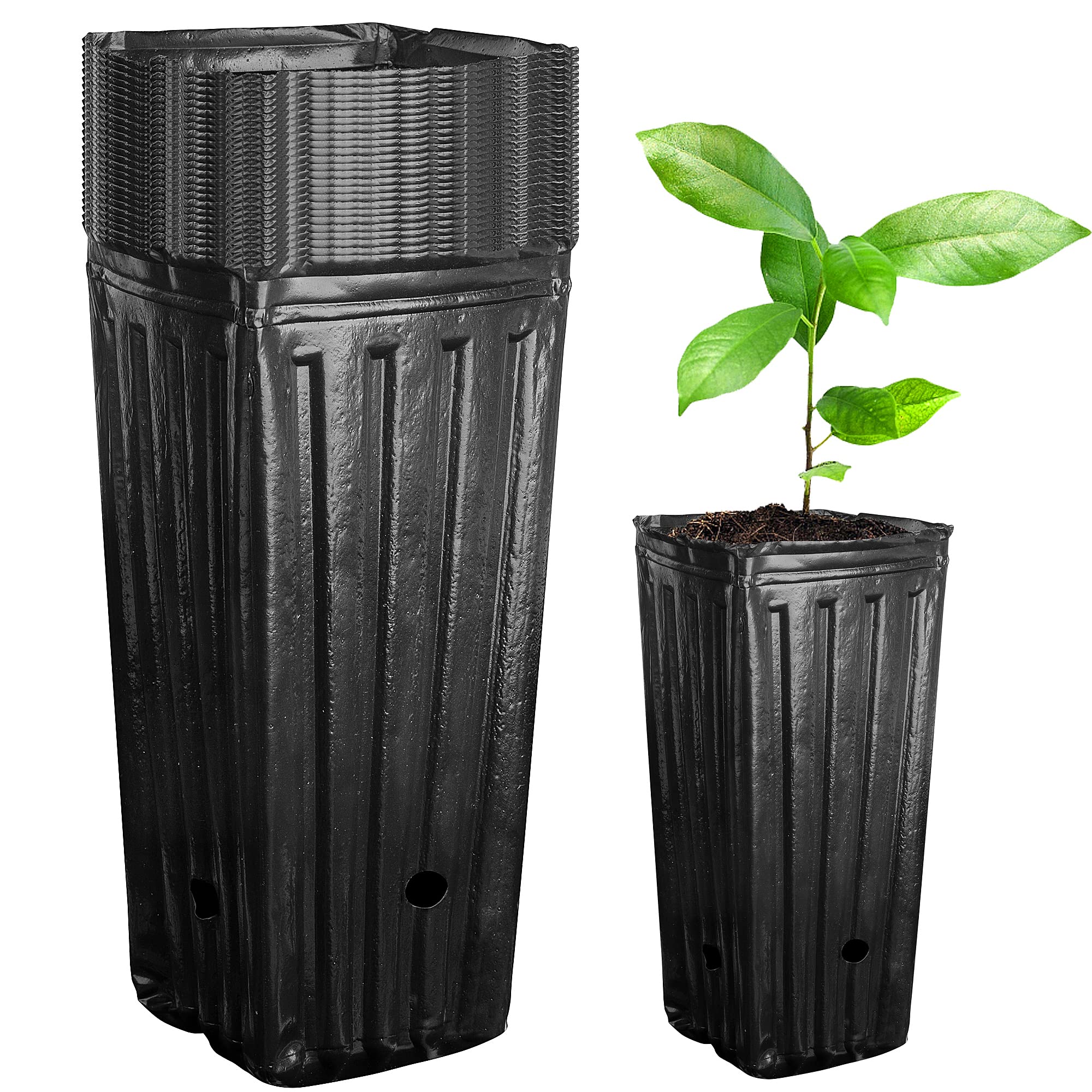 Iceyyyy tall tree pots front view showing deep cavity and clean finish for seedlings