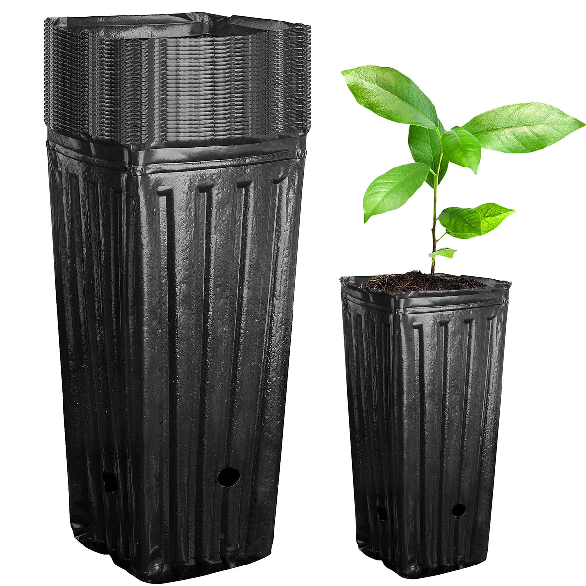 Iceyyyy tall tree pots front view showing deep cavity and clean finish for seedlings