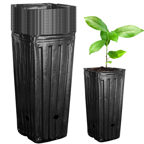 Iceyyyy tall tree pots front view showing deep cavity and clean finish for seedlings