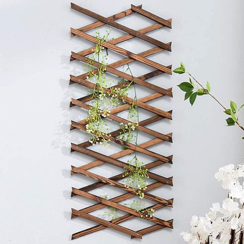 Iceyyyy wood lattice planter mounted on wall for stylish indoor decor.