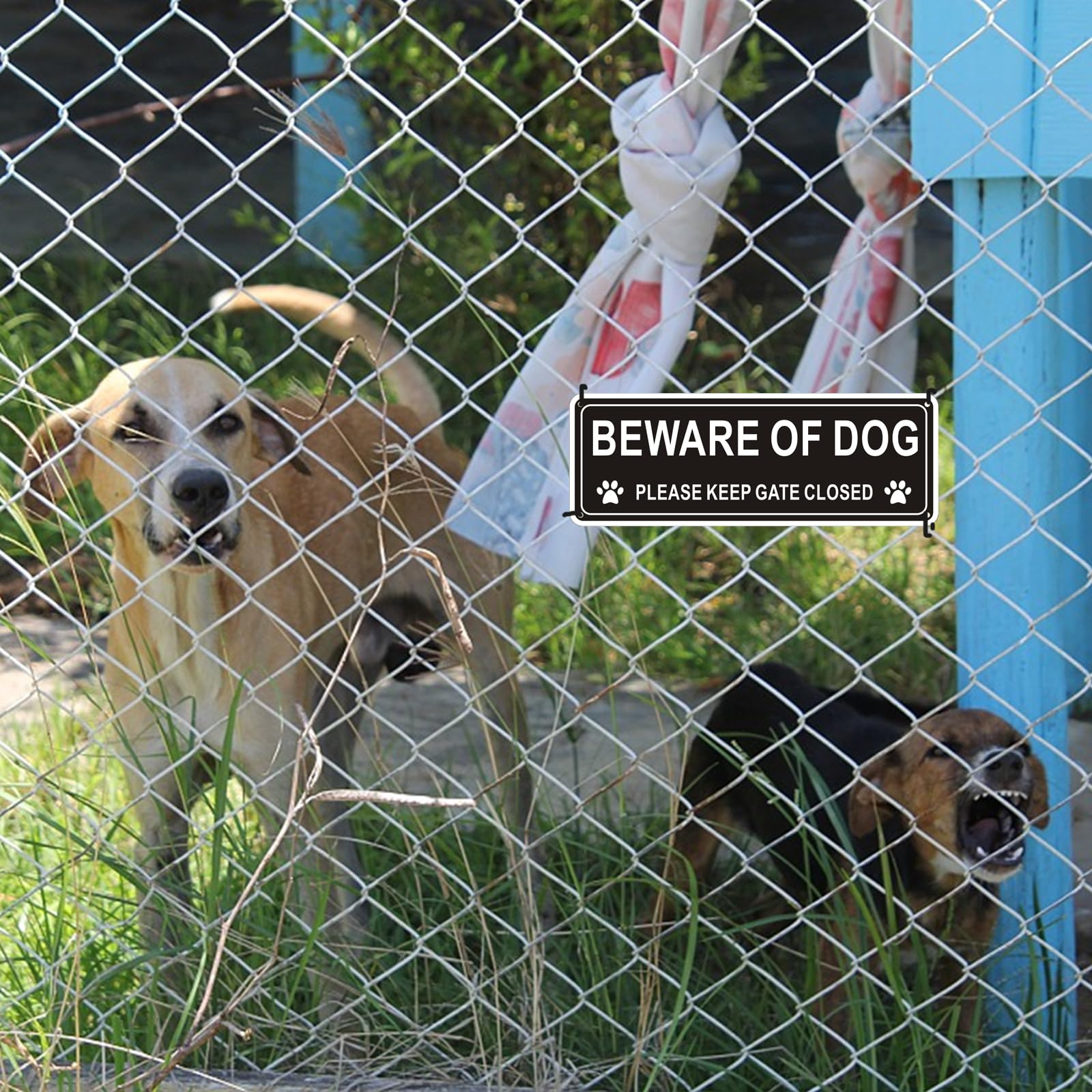 i-CowFun two-sign pack for quick yard safety upgrades.