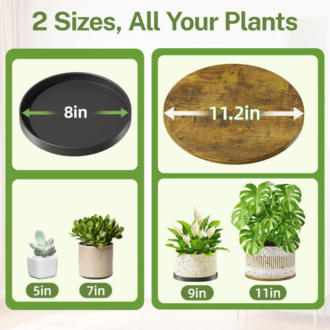 iDavosic.ly 11-inch trays fit larger pots for balanced displays.
