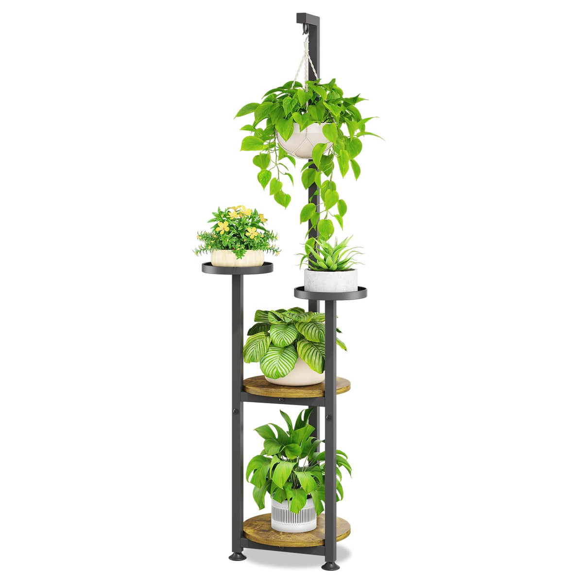 iDavosic.ly 4-tier stand fits small spaces with round frame.