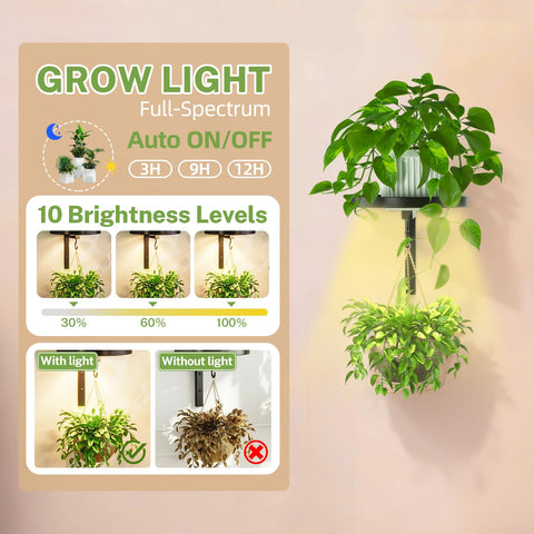 Two-pack metal stands ready to hold four plants total in iDavosic.ly set.