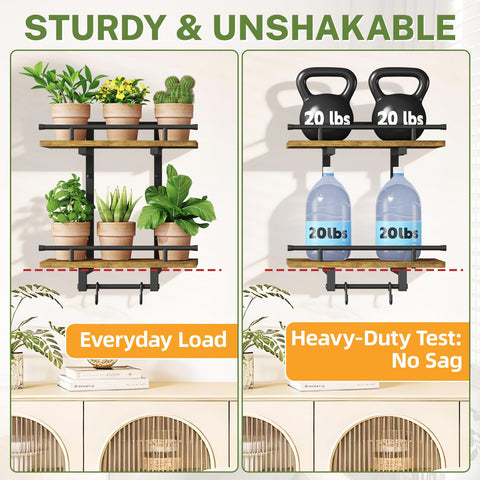 iDavosic.ly two-tier display creates multiple levels for lush greenery.