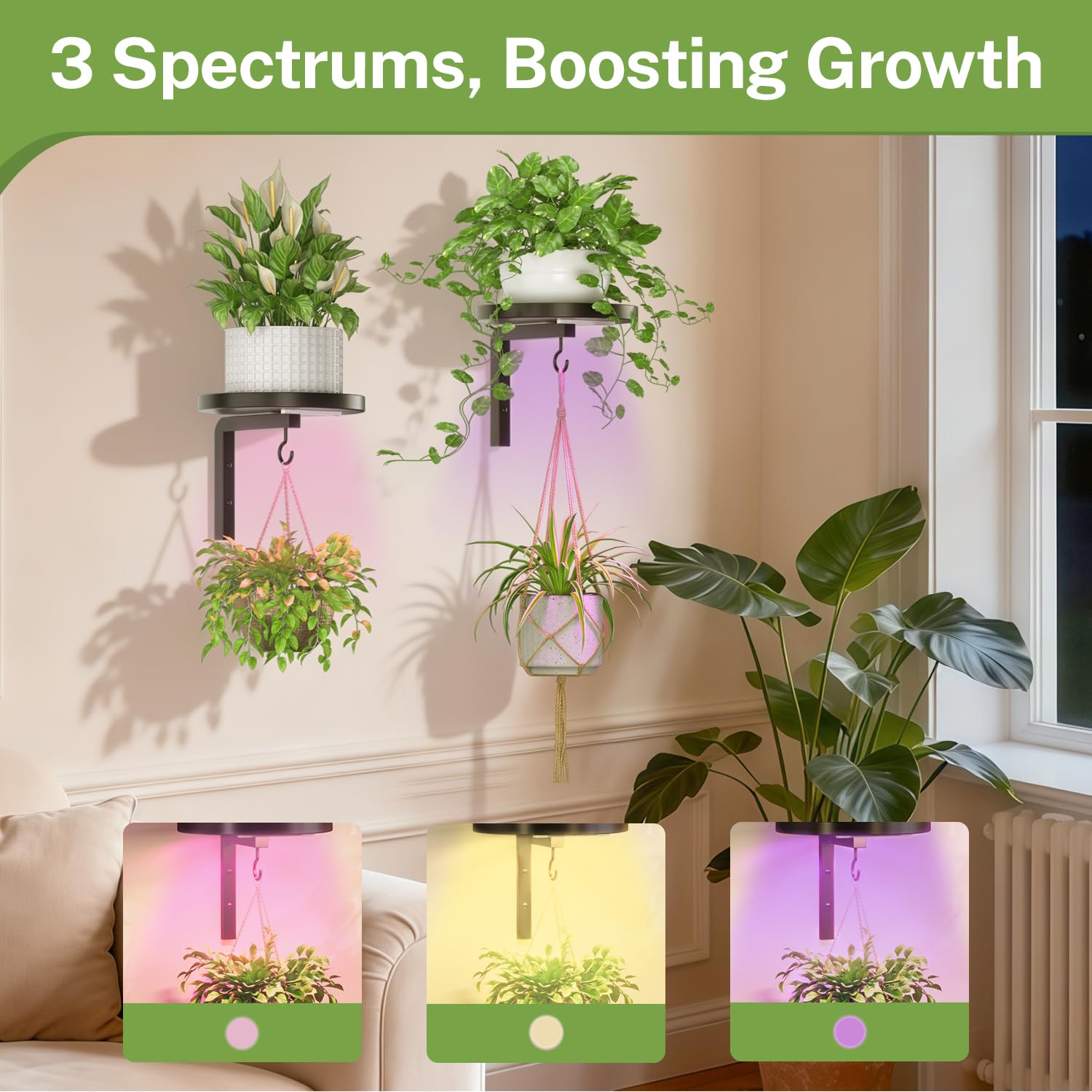 Raised tray rim on iDavosic.ly plant holder helps contain spills.