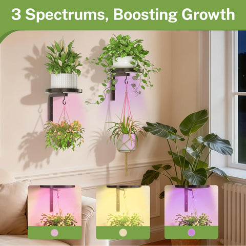 Raised tray rim on iDavosic.ly plant holder helps contain spills.