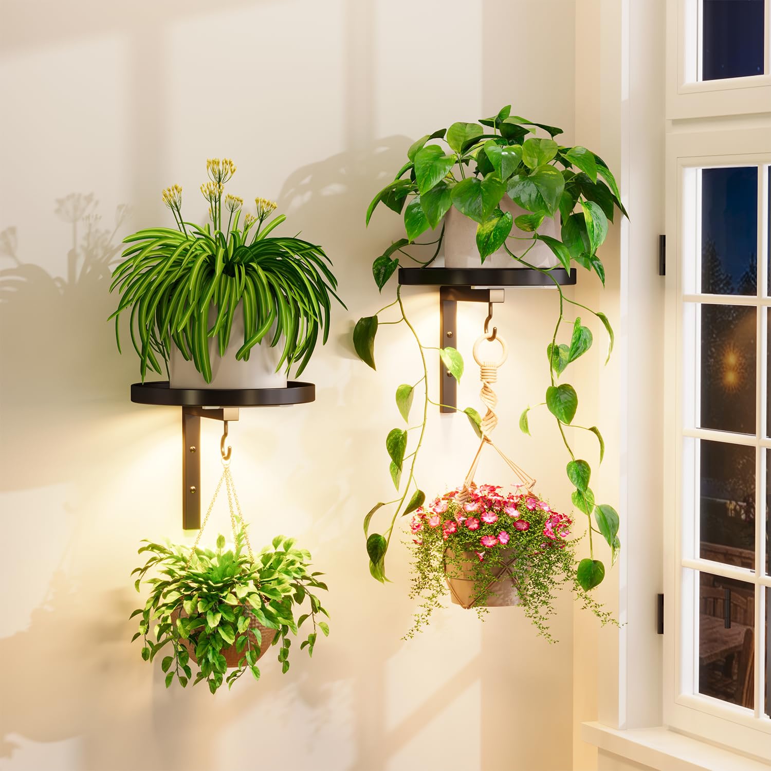 iDavosic.ly wall plant holder with grow lights mounted for space-saving display.