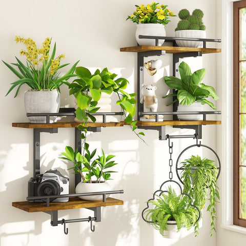 iDavosic.ly wall plant holder set of 2 with two-tier shelves for compact indoor displays.