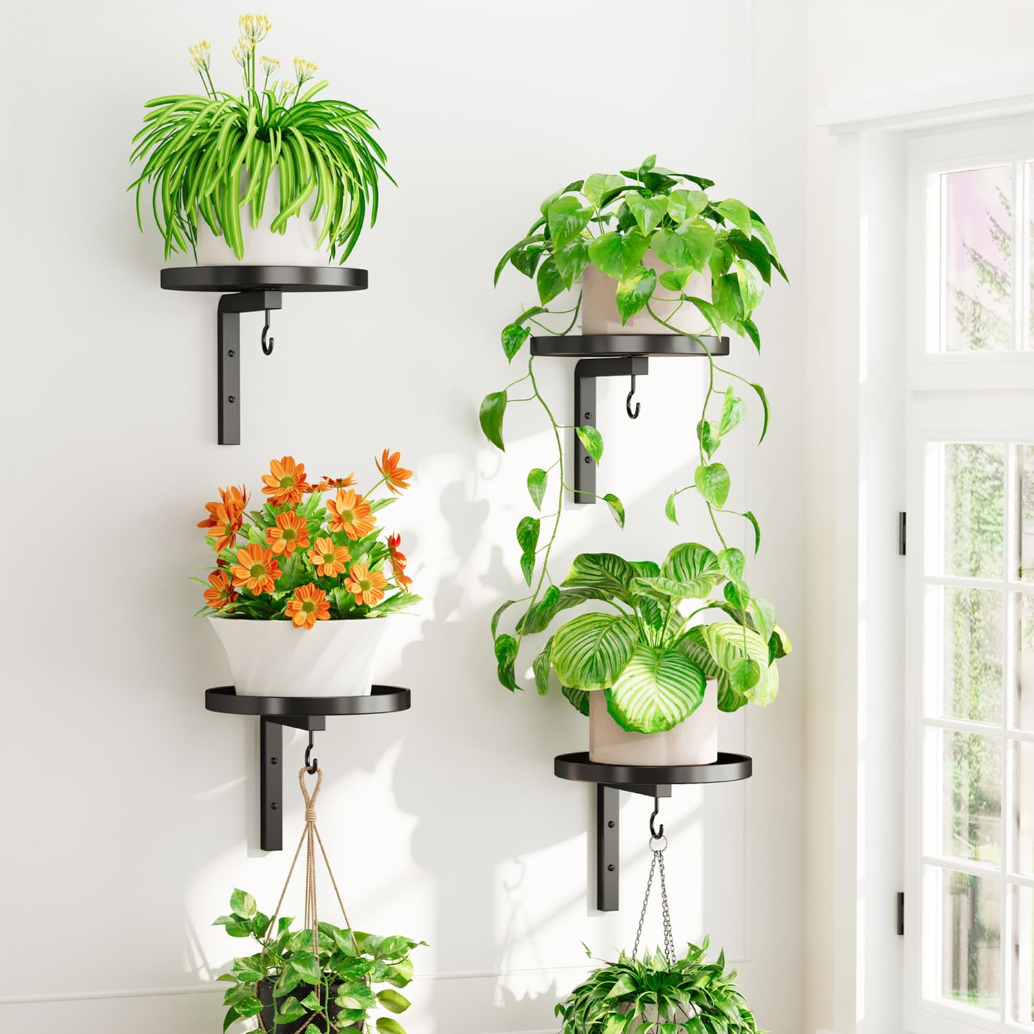iDavosic.ly wall plant holder set 4 front view highlights sturdy metal support for four plants